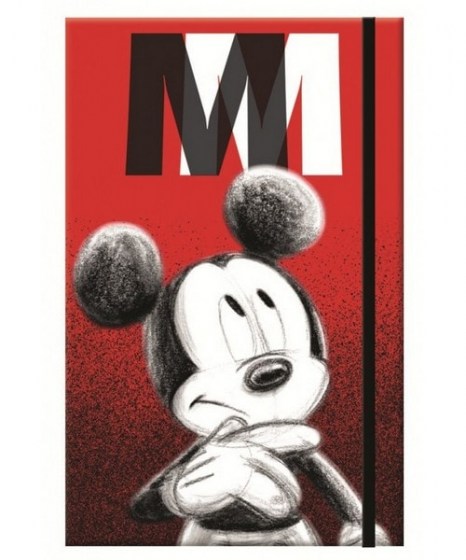 mplokaki-me-lastixo-a6-gim-mickey