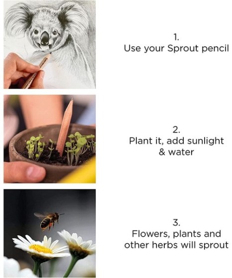οικολογικό μολύβι σπόρους sprout(a)
