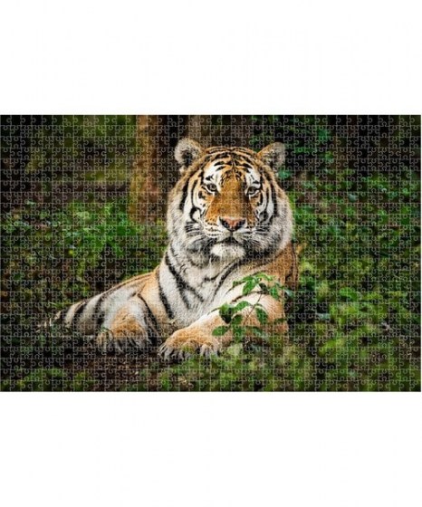 Παζλ Animal Planet Τίγρης 570698