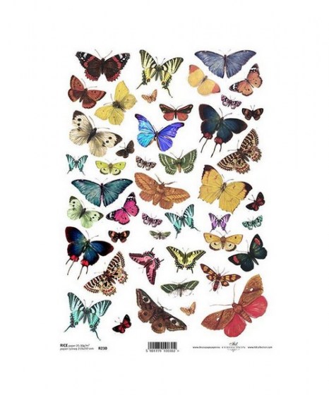 rizoharto-butterflies-1