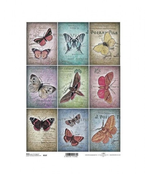 rizoharto-butterflies